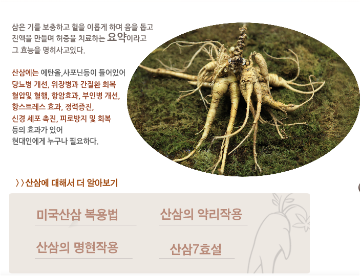 산삼의 효능